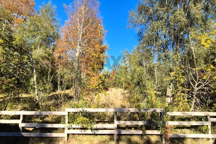 Tu parcela de ensueño en villarrica te espera