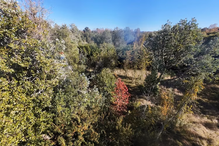 Tu parcela de ensueño en villarrica te espera