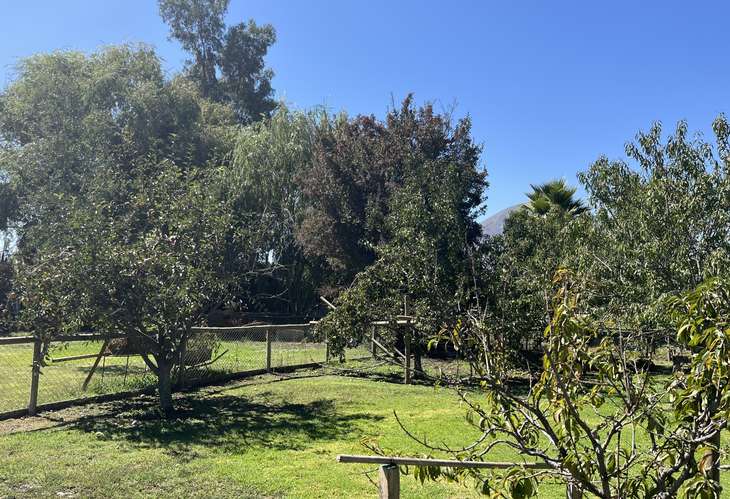 VENTA DE PARCELA EN ISLA DE MAIPO, SECTOR  CARAMPANGUE , 2D 2B 4E 1BODEGA. 5000 MTS2