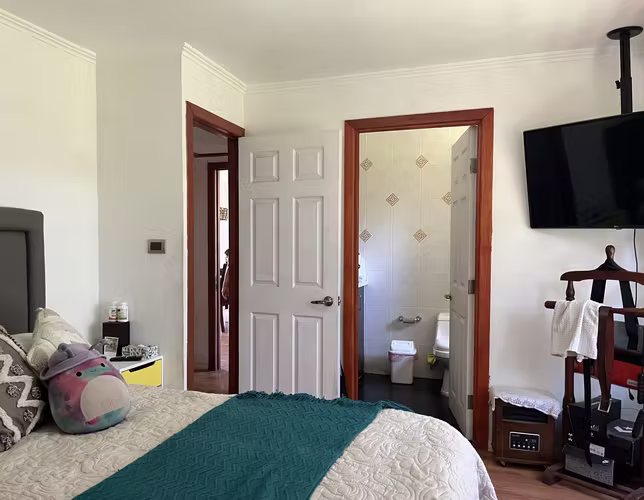 VENTA DE PARCELA EN ISLA DE MAIPO, SECTOR  CARAMPANGUE , 2D 2B 4E 1BODEGA. 5000 MTS2