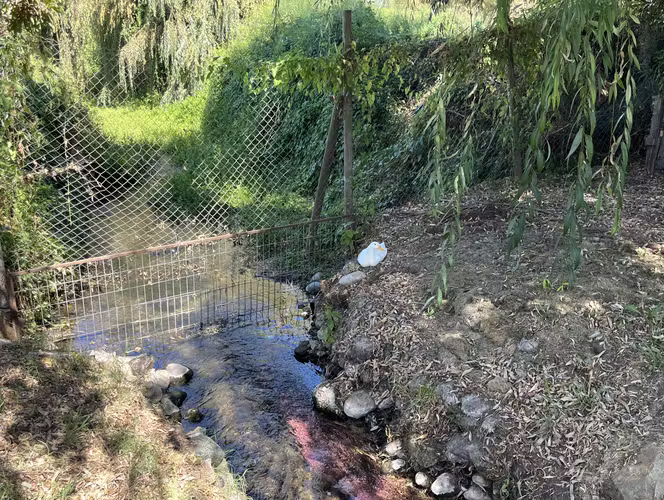 VENTA DE PARCELA EN ISLA DE MAIPO, SECTOR  CARAMPANGUE , 2D 2B 4E 1BODEGA. 5000 MTS2