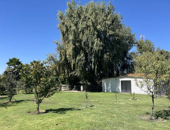 VENTA DE PARCELA EN ISLA DE MAIPO, SECTOR  CARAMPANGUE , 2D 2B 4E 1BODEGA. 5000 MTS2