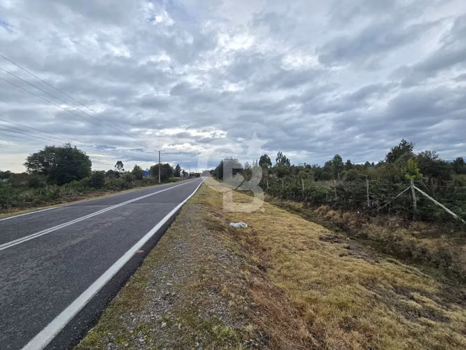 Parcela en Colonia Tres Puentes: Naturaleza y Conectividad