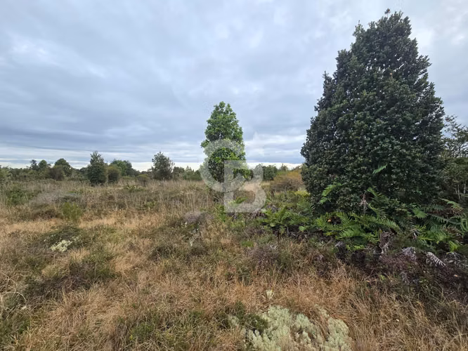 Parcela en Colonia Tres Puentes: Naturaleza y Conectividad