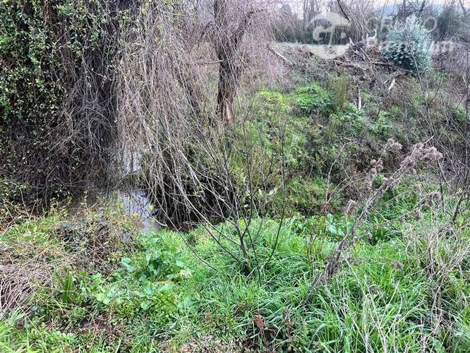 Se Vende Parcela en Hualqui