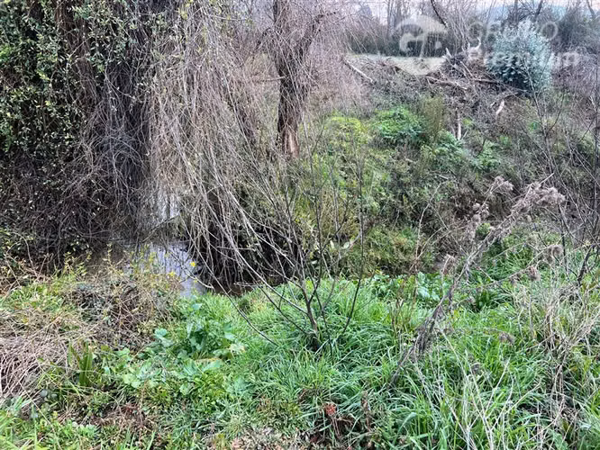 Se Vende Parcela en Hualqui