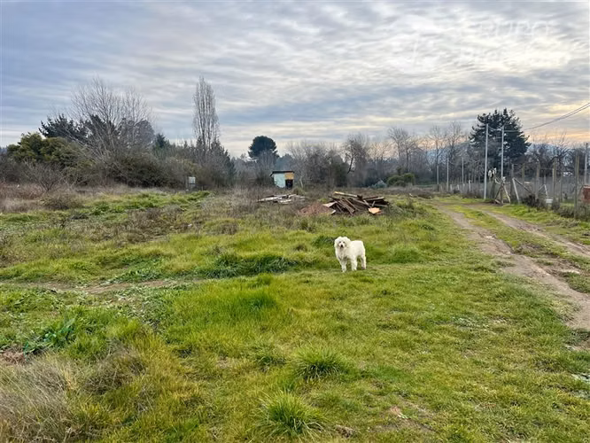 Se Vende Parcela en Hualqui