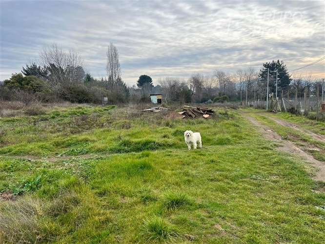 Se Vende Parcela en Hualqui