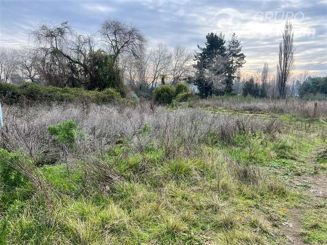 Se Vende Parcela en Hualqui