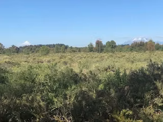 Se arrienda parcelación industrial a 3 km del Aeropuerto.