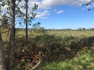 Se arrienda parcelación industrial a 3 km del Aeropuerto.