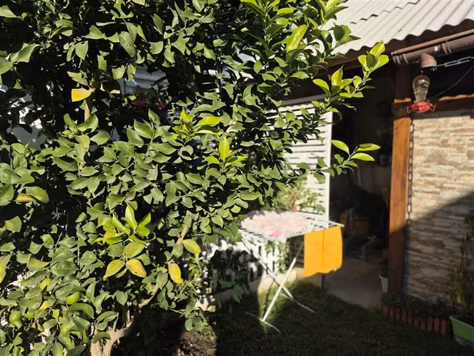 Casa en venta de 3 dorm. 2 baños ,piscina , en San Felipe