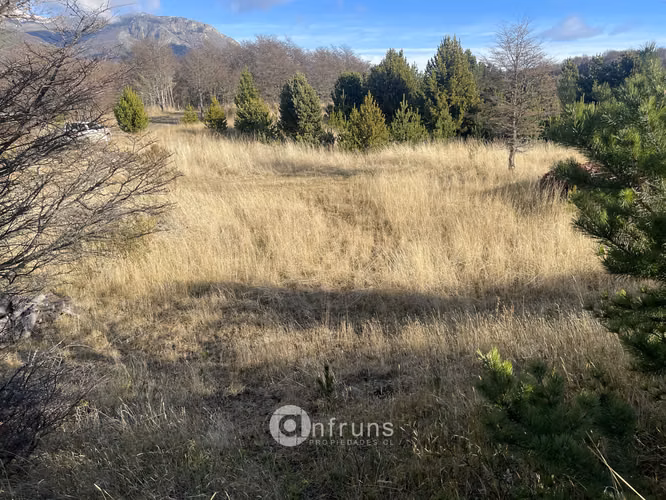 En Venta Parcela Condominio Alta Vista Coyhaique Alto - Imagen 8