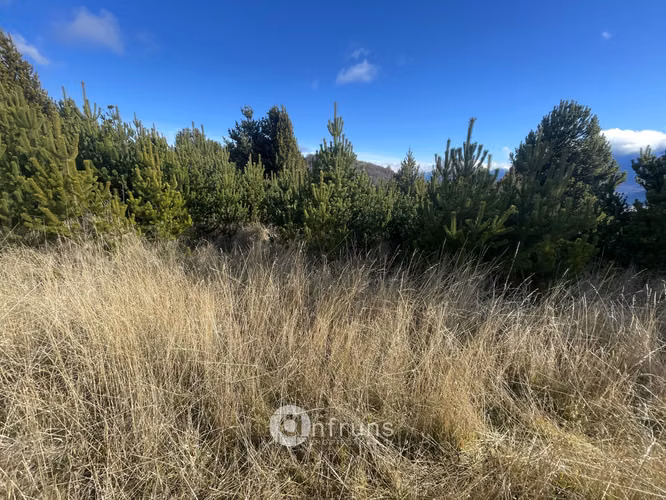 En Venta Parcela Condominio Alta Vista Coyhaique Alto - Imagen 6