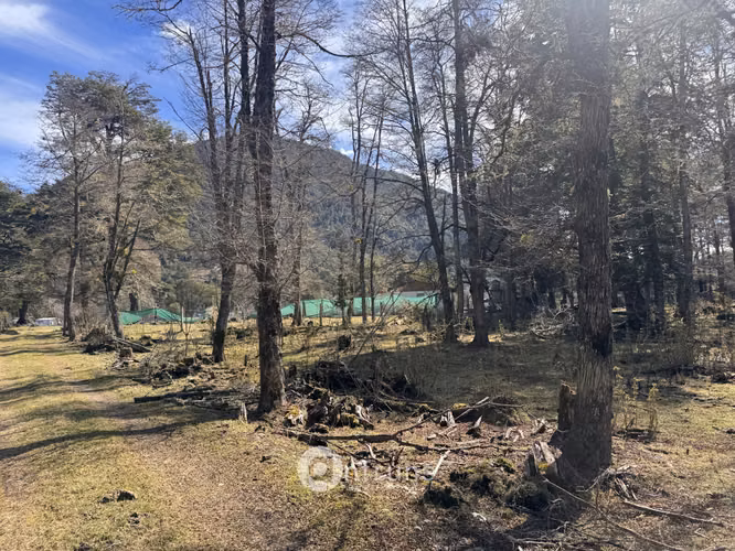 Parcela de 1.2 HA a orillas del Rio Murta - Imagen 6