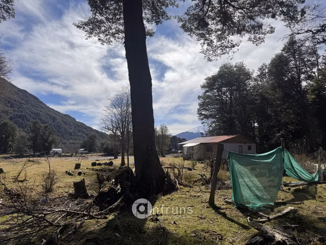 Parcela de 1.2 HA a orillas del Rio Murta - Imagen 8