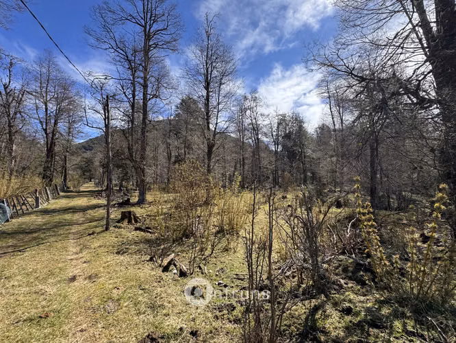 Parcela de 1.2 HA a orillas del Rio Murta - Imagen 5