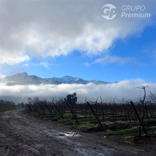 Venta Espectaculares Parcelas Los Lirios San Fernando. Dueña - Imagen 5
