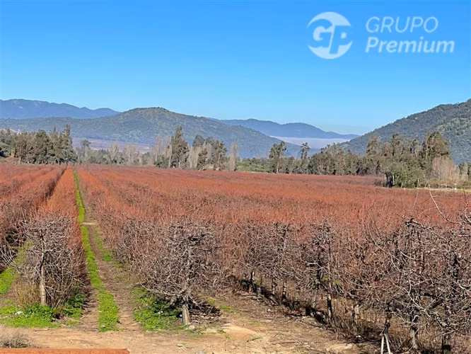 Excelentes Parcelas en Venta Campo La Justana. Directo Dueño - Imagen 15