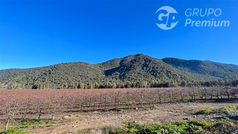 Excelentes Parcelas en Venta Campo La Justana. Directo Dueño - Imagen 10