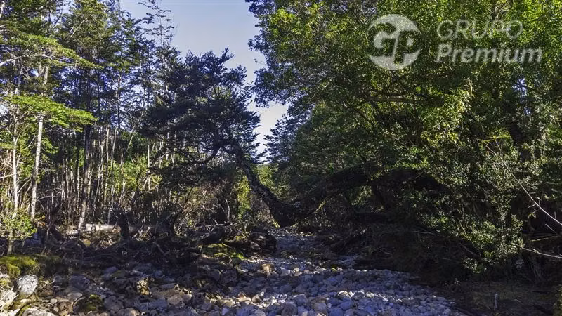 Vive donde la naturaleza es protagonista Venta en Lago Verde