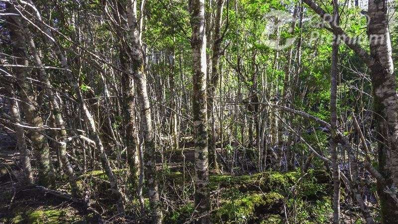 El paraíso que pocos conocen En Venta en Lago Verde