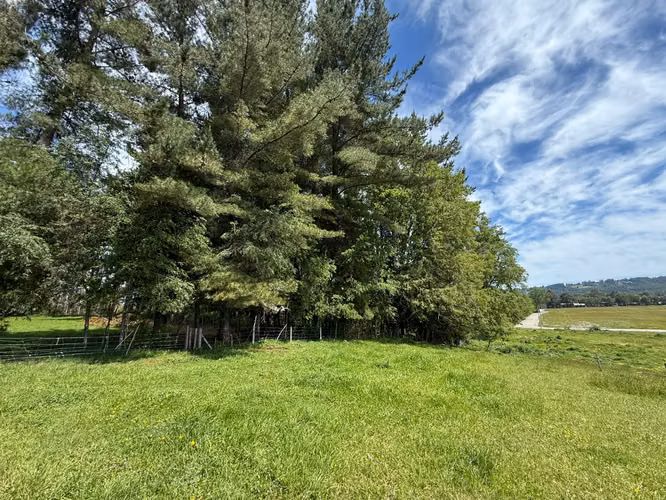 UF1682 5000M2 PARCELA CON EXCELENTE UBICACION EN PANGUIPULLI