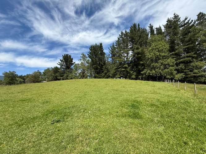 PARCELA CERCA DE RÍO Y PLAYA EN PANGUIPULLI - Imagen 12