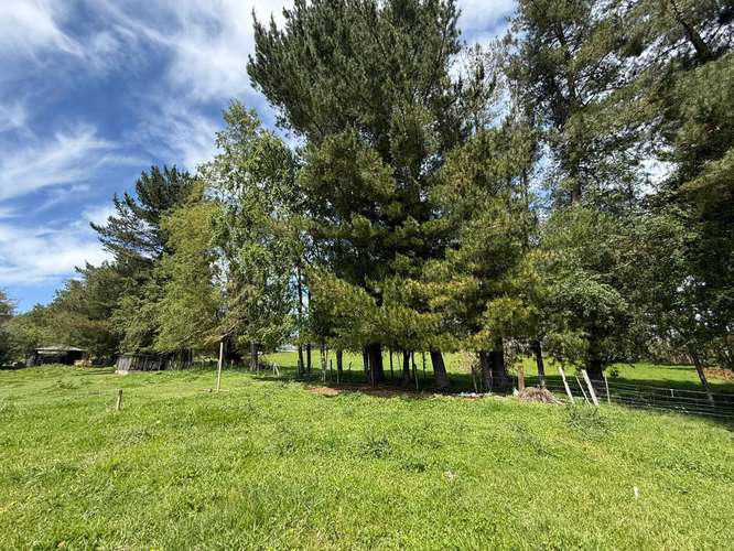 OPORTUNIDAD PARCELA EN FUNDO EL MAÑÍO 5000M2