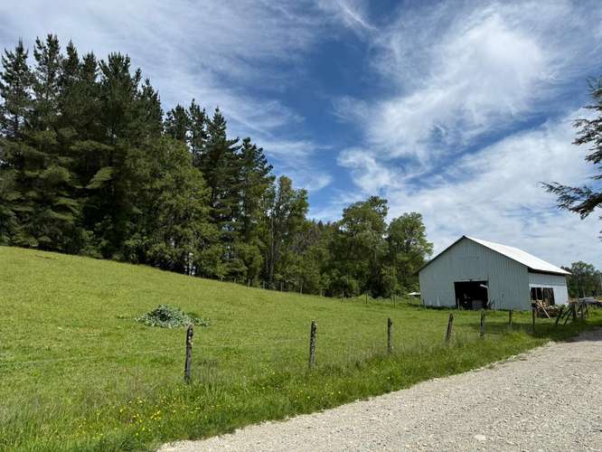 OPORTUNIDAD PARCELA EN FUNDO EL MAÑÍO 5000M2