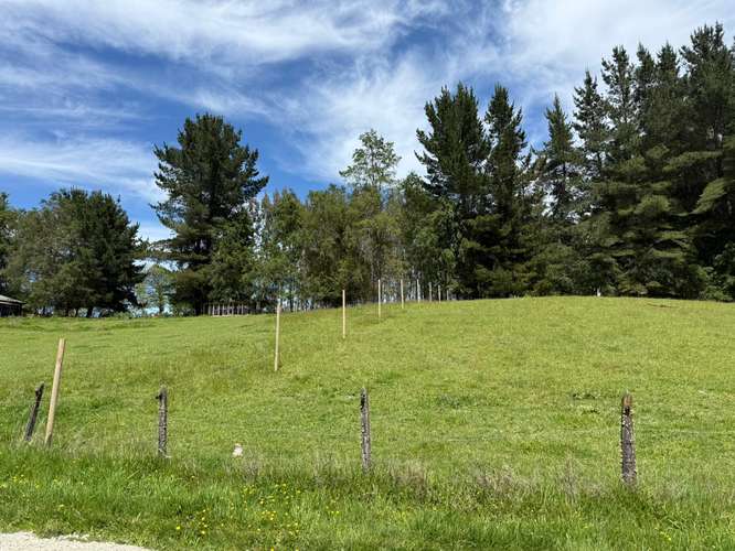 OPORTUNIDAD PARCELA EN FUNDO EL MAÑÍO 5000M2