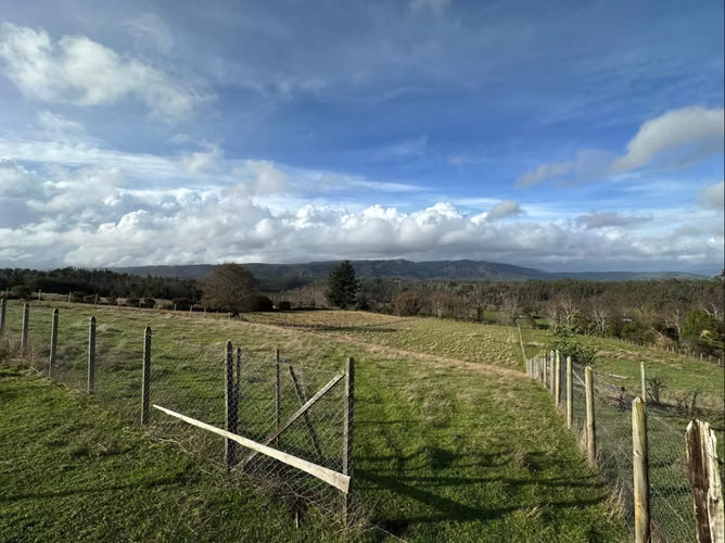 TERRENO DE 5000 M2 EN CAÑETE, TRANQUILIDAD Y PROYECCIÓN