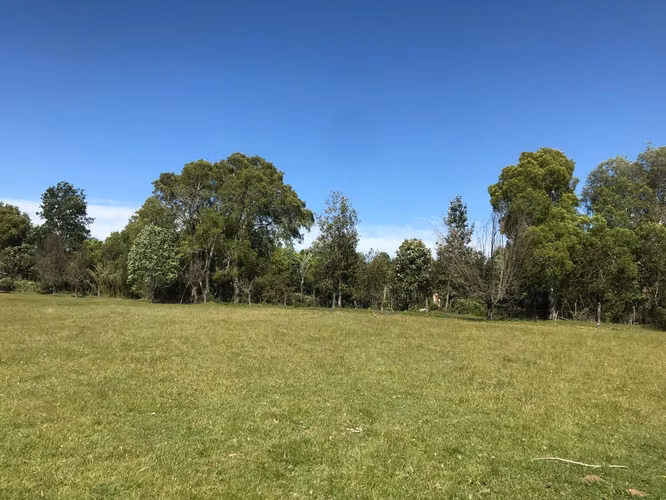 PARCELAS PLANAS DE 5000 MTS CON ROL PROPIO