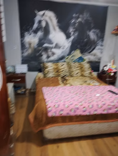 arriendo casa población Violeta Parra