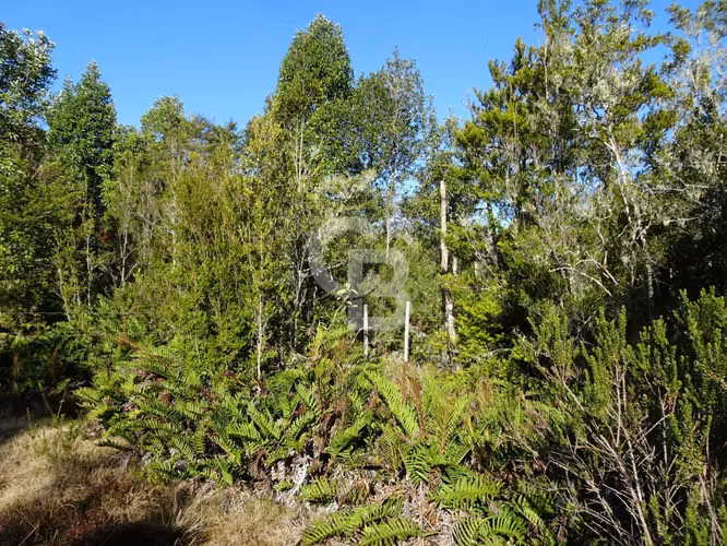 Parcela Residencial con vista a volcanes y bosque nativo