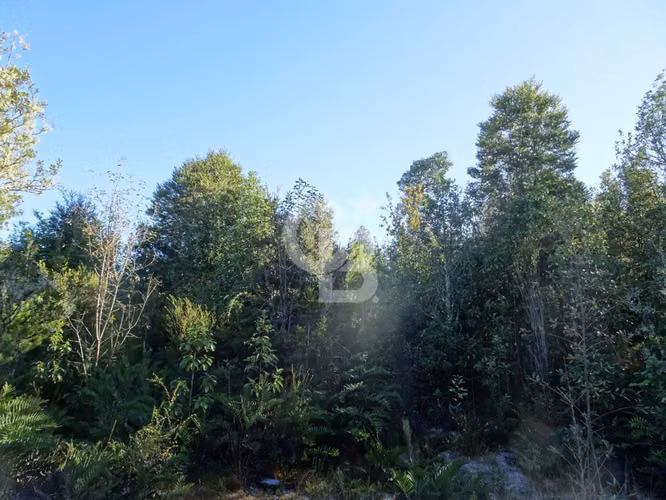 Parcela Residencial con vista a volcanes y bosque nativo