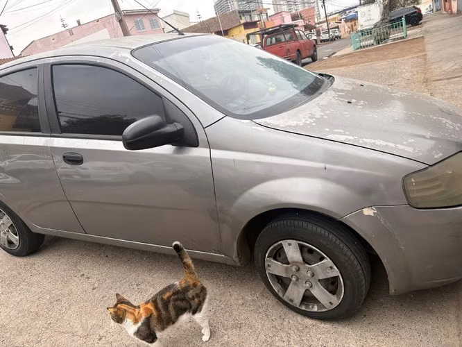 Vendo Auto
