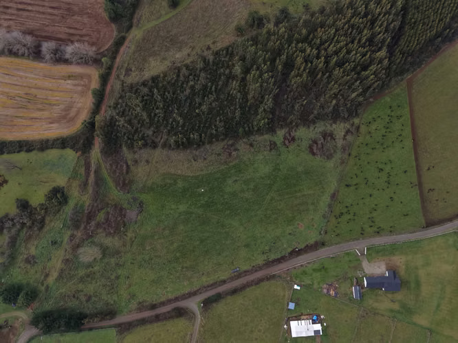 11 hectareas en paillaco cerca de lago ranco  (175879)
