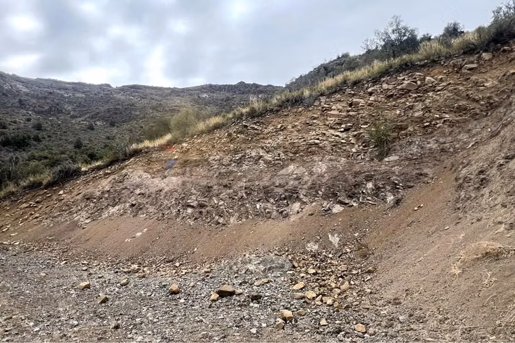 Terrenos en san esteban: venta 5.885m2 y 10.180 m2