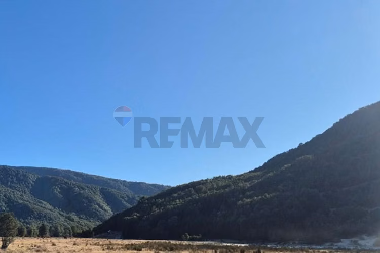 Espectacular oportunidad!! terreno 8 ha dalcahue