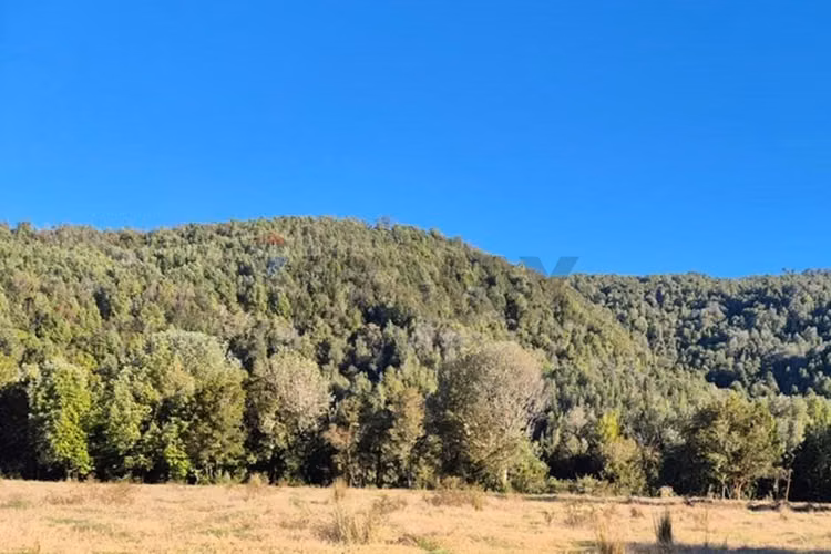 Espectacular oportunidad!! terreno 8 ha dalcahue