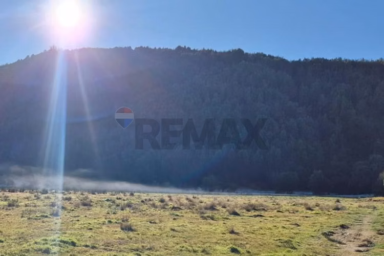 Espectacular oportunidad!! terreno 8 ha dalcahue