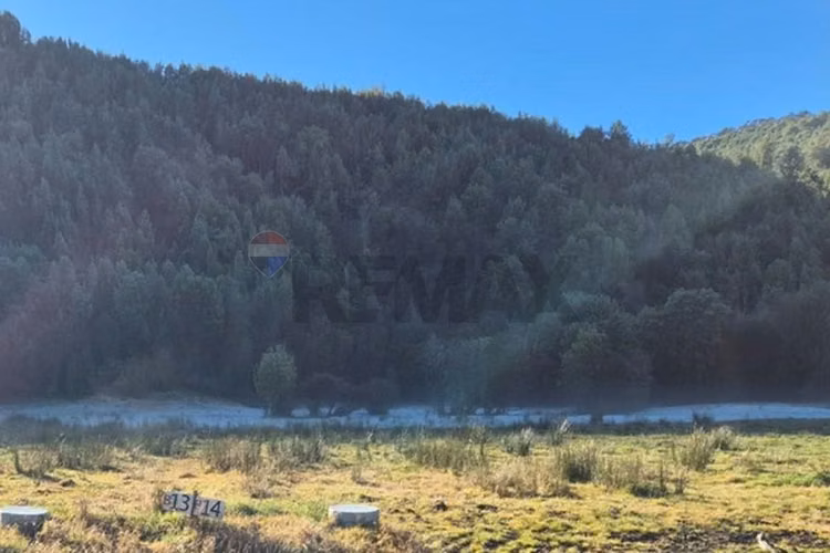 Espectacular oportunidad!! terreno 8 ha dalcahue
