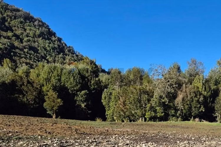 Espectacular oportunidad!! terreno 8 ha dalcahue