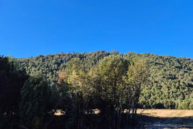 Espectacular oportunidad!! terreno 8 ha dalcahue