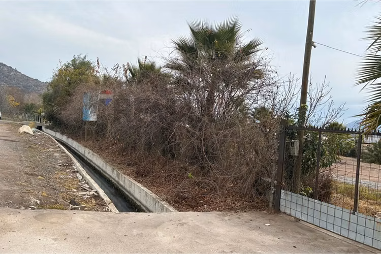 Parcela en venta con casa, san vicente de t. t.