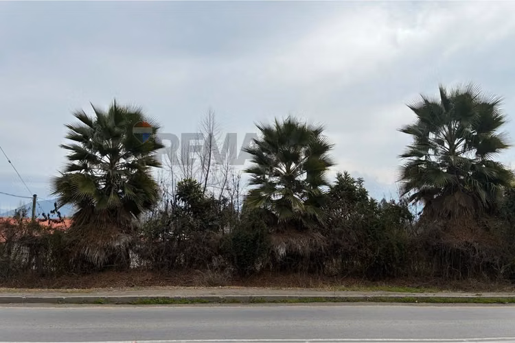 Parcela en venta con casa, san vicente de t. t.