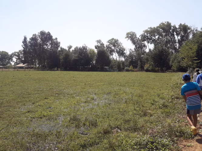 VENDO 2 HA PANGUE ARRIBA, SAN RAFAEL, TALCA - Imagen 10