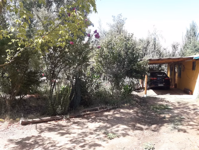 VENDO 2 HA PANGUE ARRIBA, SAN RAFAEL, TALCA - Imagen 5