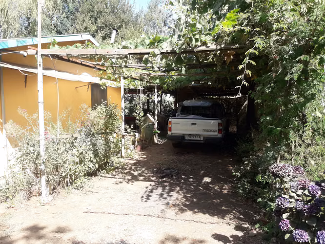 VENDO 2 HA PANGUE ARRIBA, SAN RAFAEL, TALCA - Imagen 14